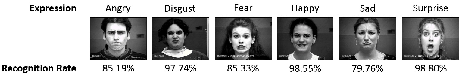 Resumo A Facial Expression Recognition System Using Convolutional Networks.jpg