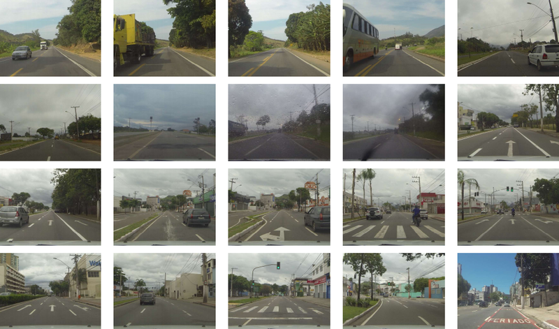 Arquivo:Elas-dataset-samples.png