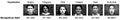 Resumo A Facial Expression Recognition System Using Convolutional Networks.jpg