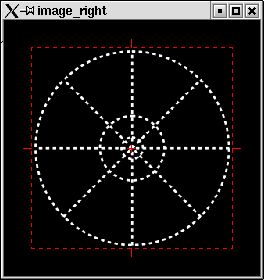 Image projected on the retina of our model