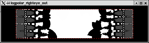 Model output (V1 input)