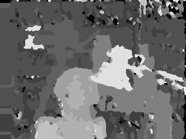 Disparity map